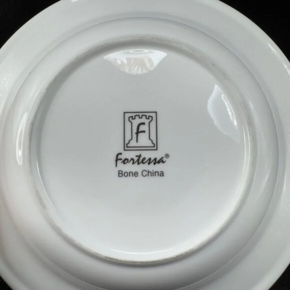 Fortessa Decorated Edges Deep Dish Bowl 9inch Porcelain Dishes Bowls Set 3 VTG‎